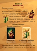 Миниатюра товара Настольная игра Зелёный Мексиканец (RU) - 2