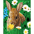 Миниатюра товара Картина по номерам Кролик на лужайке (30х40 см) - 1