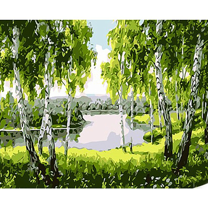 Картина по номерам Березовый рай (30х40 см), бренду Strateg - KUBIX