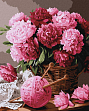 Миниатюра товара Картина по номерам Букет розовых пионов (40х50 см) - 1