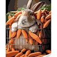 Миниатюра товара Картина по номерам Кролик в моркови (30х40 см) - 1