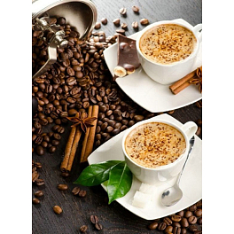 Алмазная мозаика Встреча на кофе (50х65 см)
