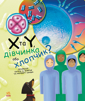 X и Y, девочка или мальчик?