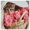 Алмазна мозаїка Котик у кошику (50х50 см)