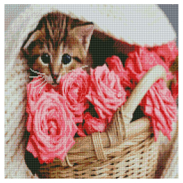 Алмазна мозаїка Котик у кошику (50х50 см)