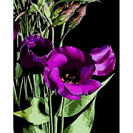 Картина по номерам Фиолетовые цветки (40х50 см)