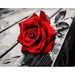 Картина за номерами Червона троянда (30х40 см)