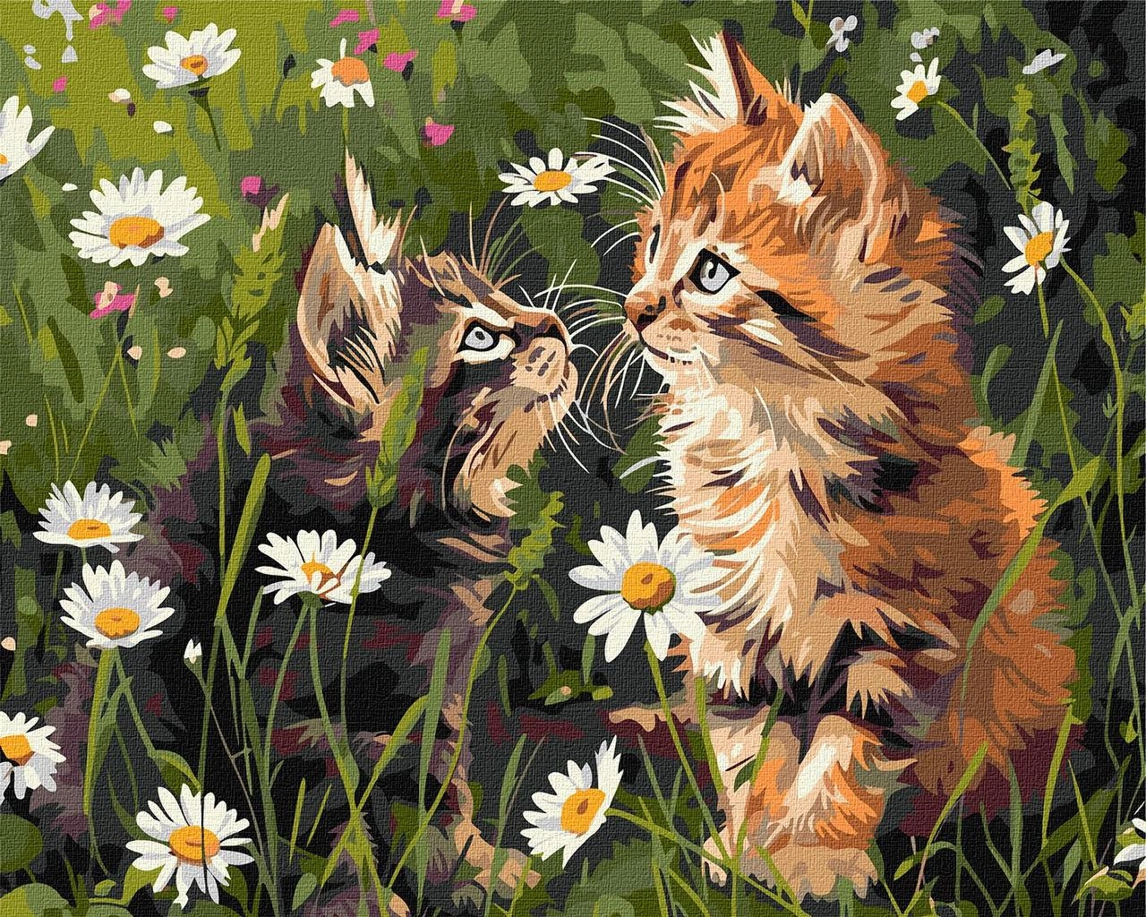 Картина по номерам Котики в цветах (40х50 см), бренду Идейка - KUBIX