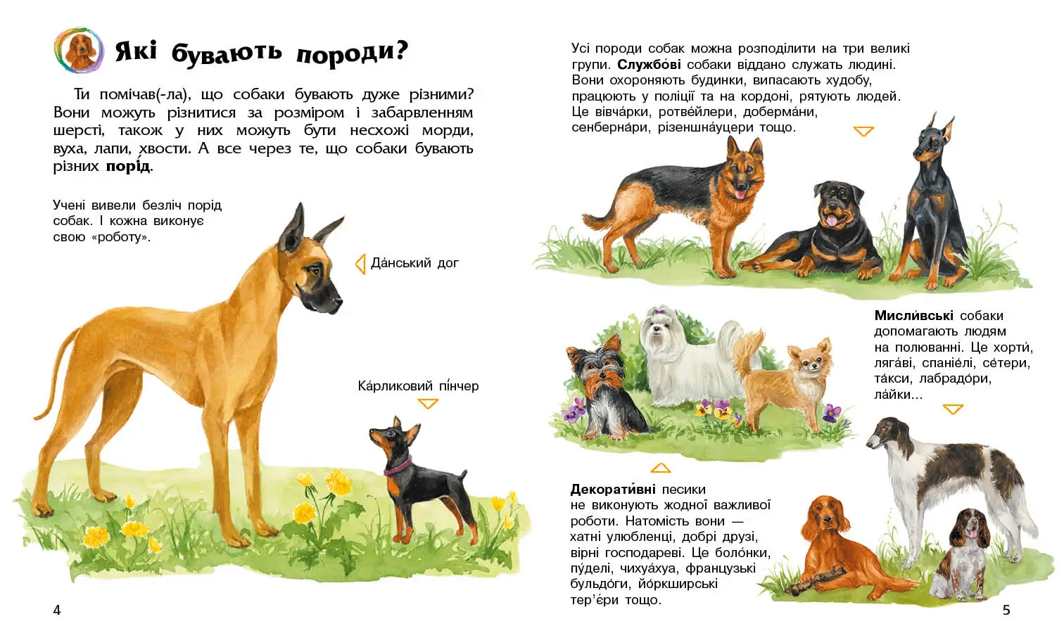 Енциклопедія дошкільника: Собаки, бренду Ранок - 3 - KUBIX 