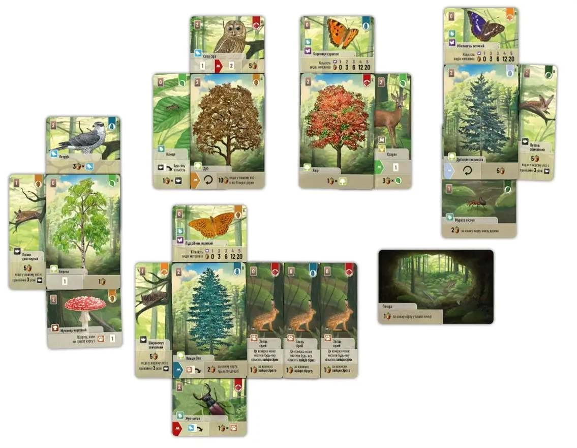 Настільна гра Лісова метушня (Forest Shuffle), бренду Lord of Boards, для 2-5 гравців, час гри < 60хв. - 3 - KUBIX 