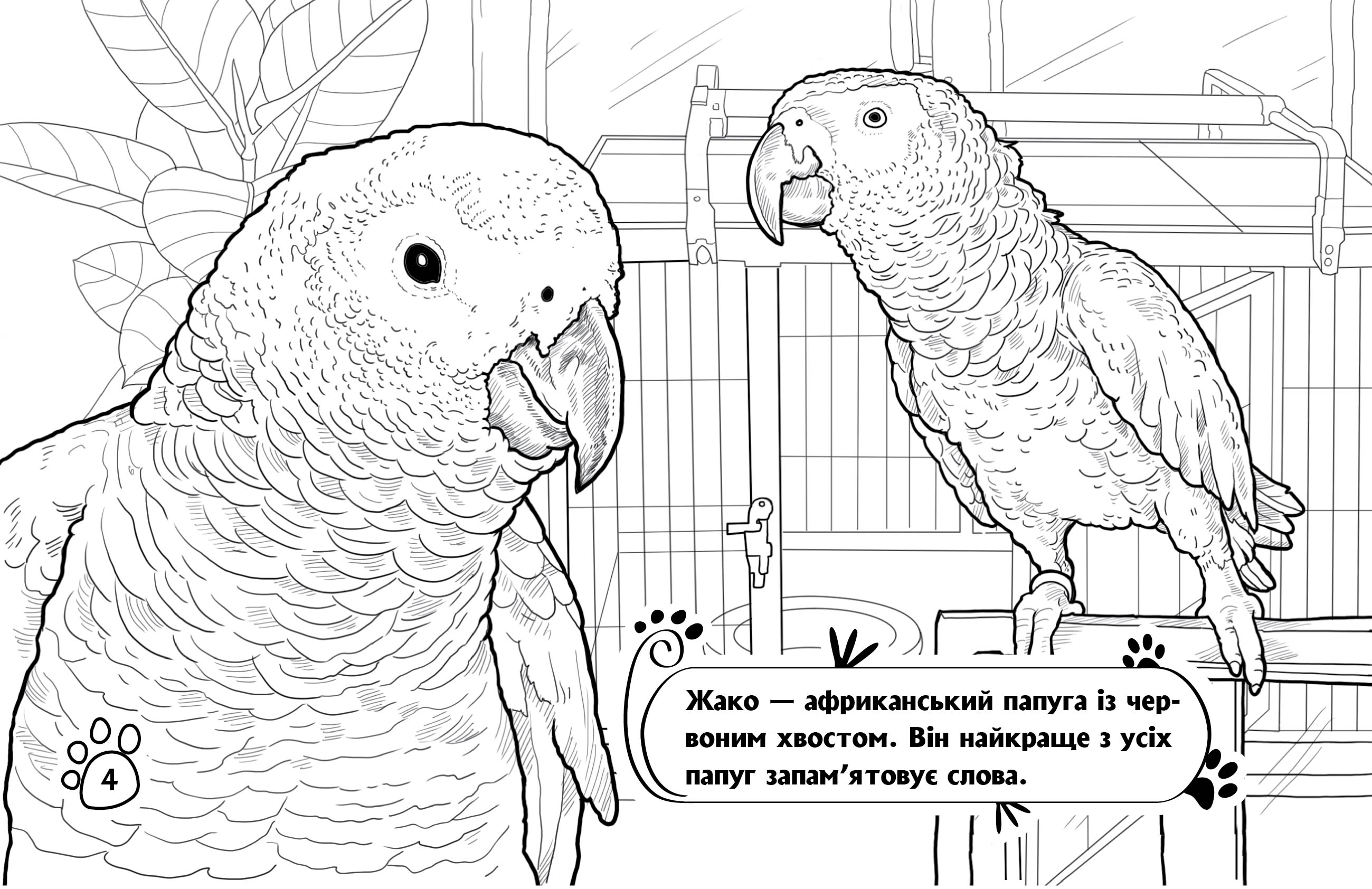 Раскраска Животные в доме, бренду Ранок - 2 - KUBIX 