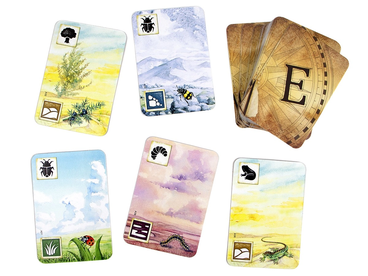 Настільна гра Левада (Meadow), бренду Ігромаг, для 1-4 гравців, час гри < 60хв. - 14 - KUBIX 