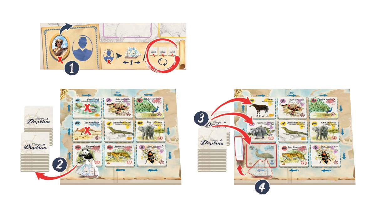 Настольная игра Следами Дарвина (In the Footsteps of Darwin), бренду Feelindigo, для 2-5 гравців, час гри < 30мин. - 3 - KUBIX 