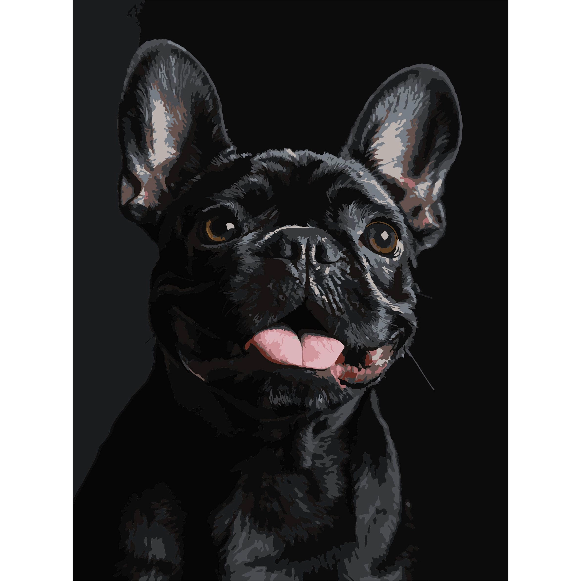 Картина за номерами Французький чорний бульдог (30х40 см), бренду Strateg - KUBIX