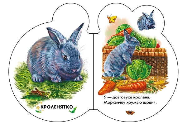 На подвірʼї, бренду Ранок - 2 - KUBIX 
