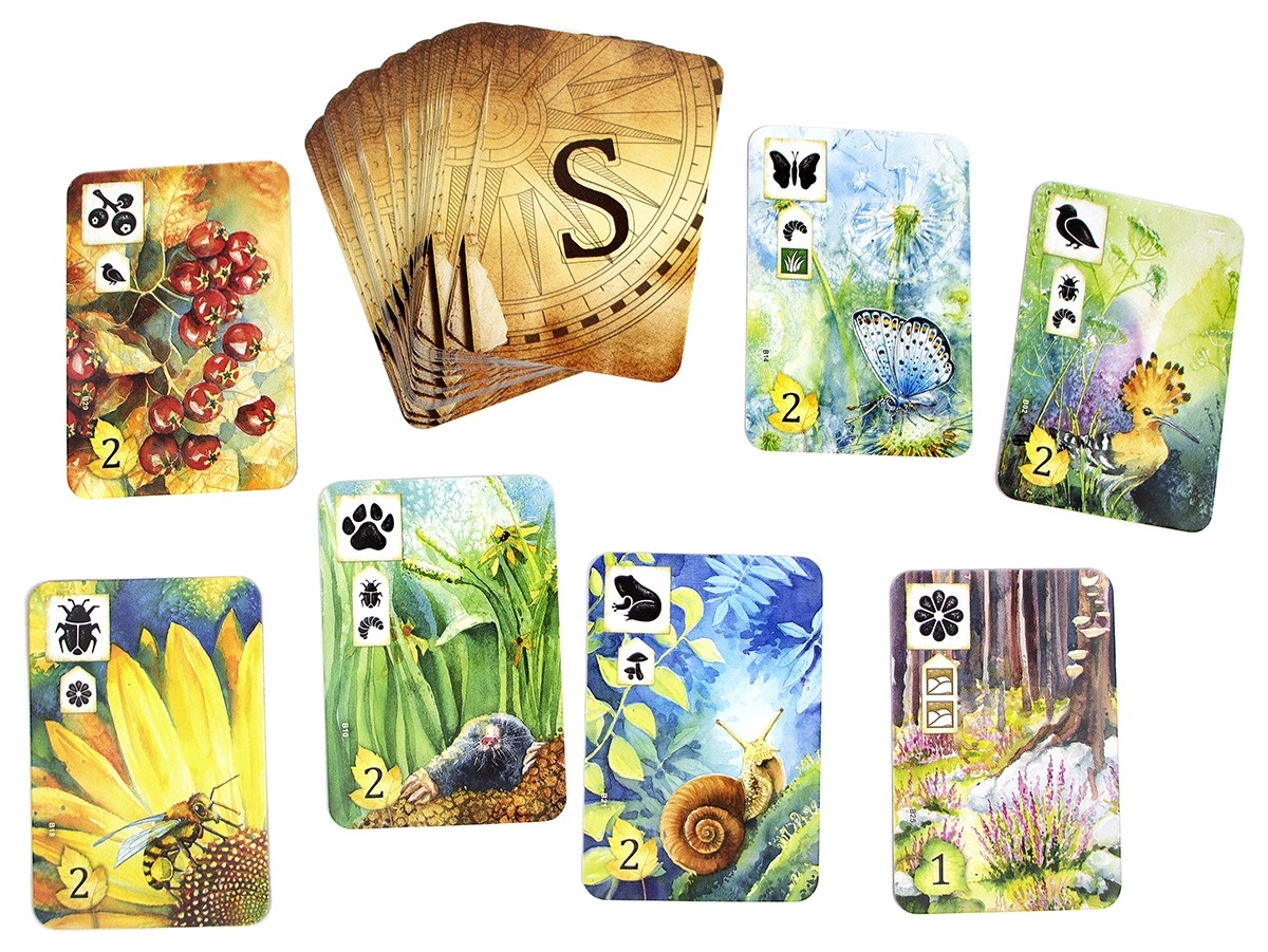 Настільна гра Левада (Meadow), бренду Ігромаг, для 1-4 гравців, час гри < 60хв. - 5 - KUBIX 