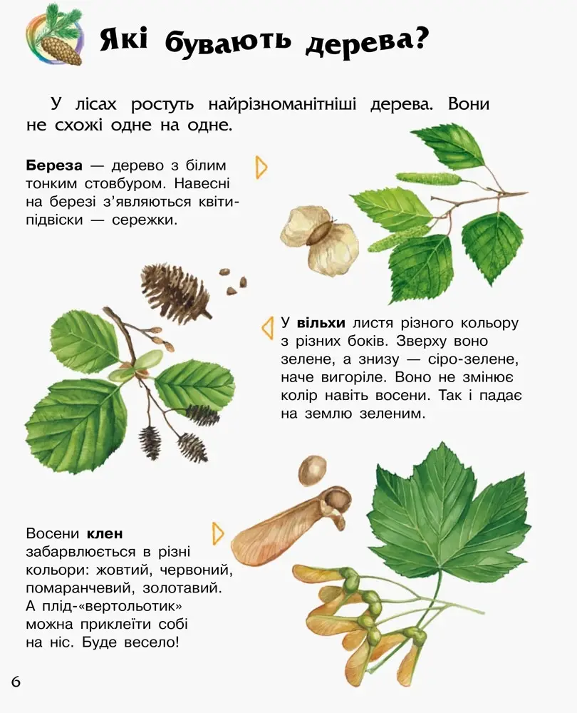 Енциклопедія дошкільника. Ліс, бренду Ранок - 5 - KUBIX 