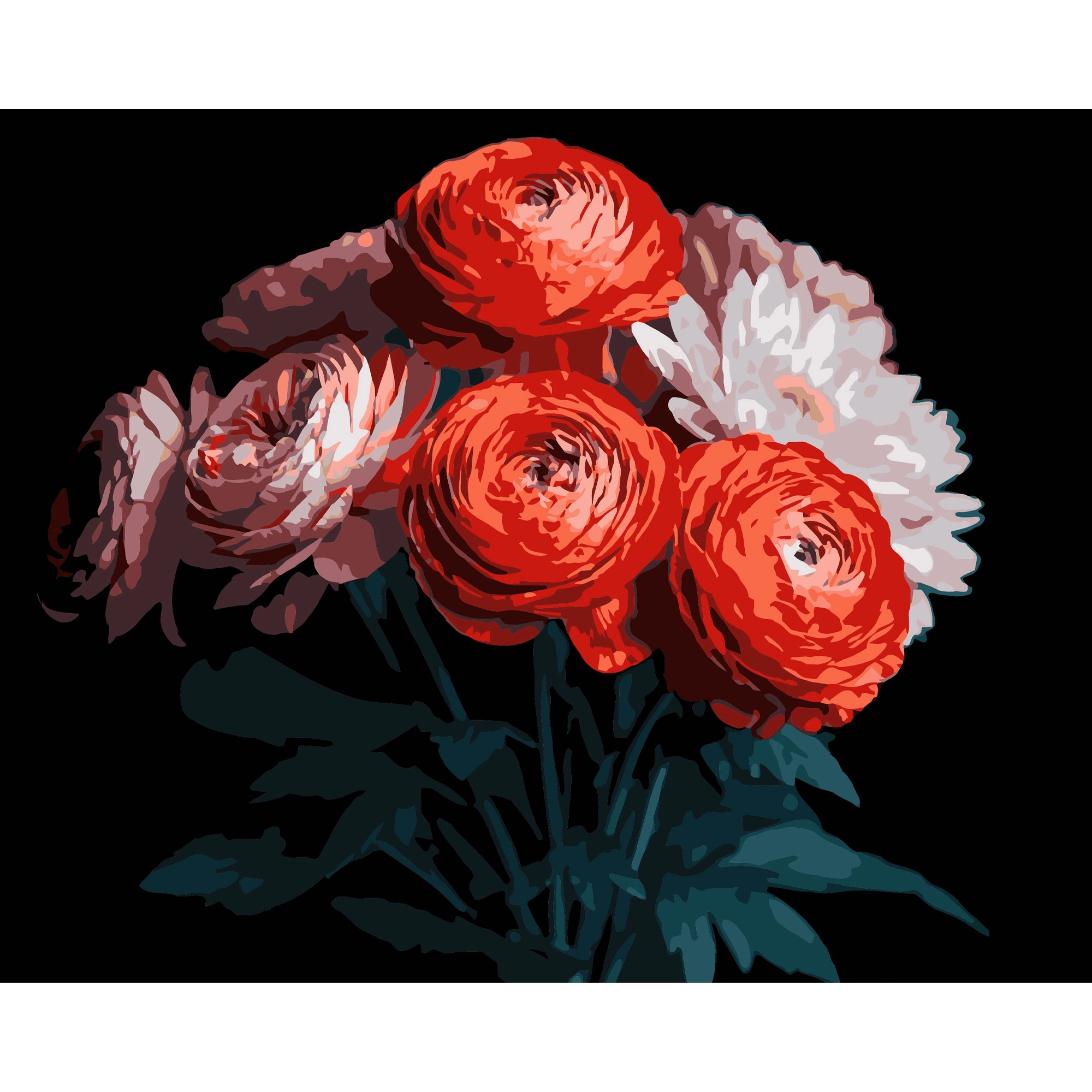 Картина по номерам Красные ранункулюсы (40х50 см), бренду Strateg - KUBIX