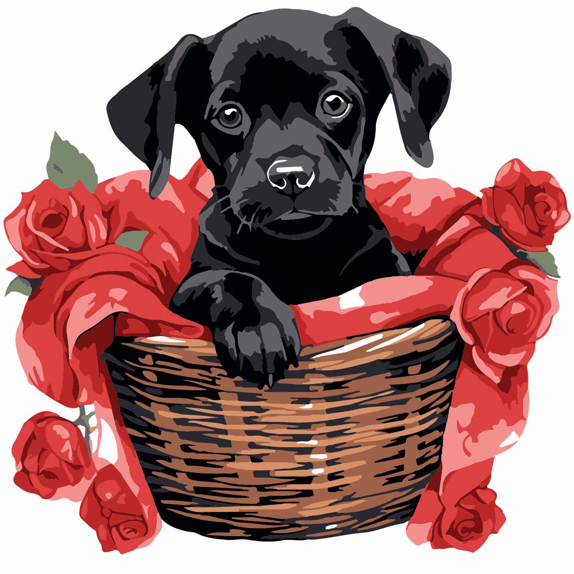 Картина за номерами Чорне щеня з трояндами (20х20 см), бренду Strateg - KUBIX