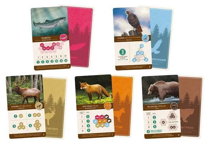 Настольная игра Каскадия (Cascadia), бренду Lord of Boards, для 1-4 гравців, час гри < 30мин. - 4 - KUBIX 