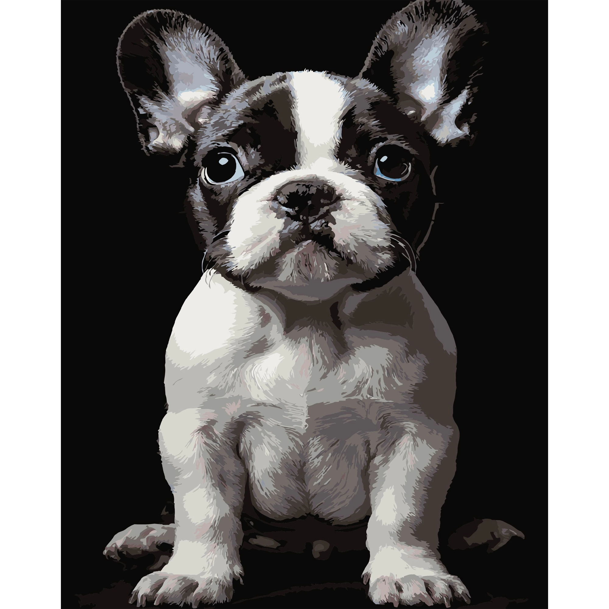 Картина за номерами Маленький пес (40х50 см), бренду Strateg - KUBIX