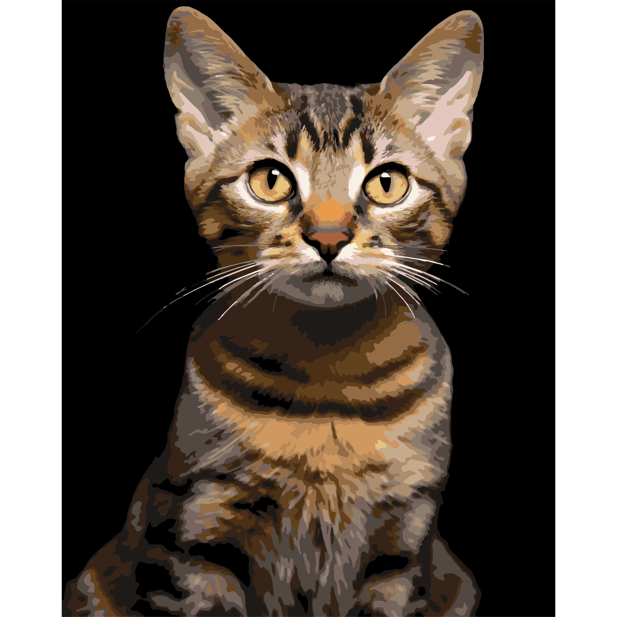 Картина за номерами Смугастий кіт (40х50 см), бренду Strateg - KUBIX