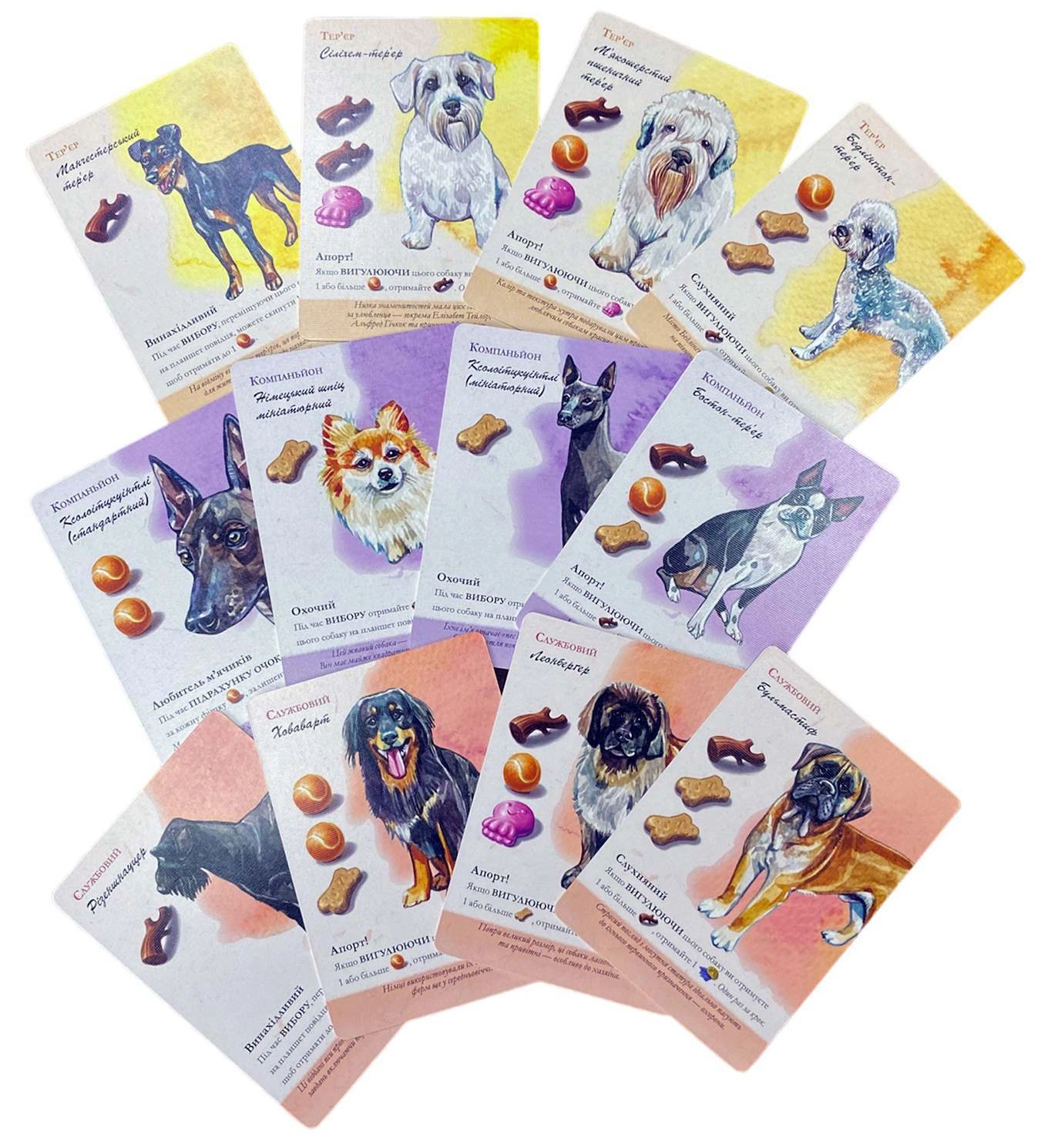 Настольная игра Парк Собак (Dog Park), бренду Games 7Days, для 1-4 гравців, час гри < 60мин. - 5 - KUBIX 
