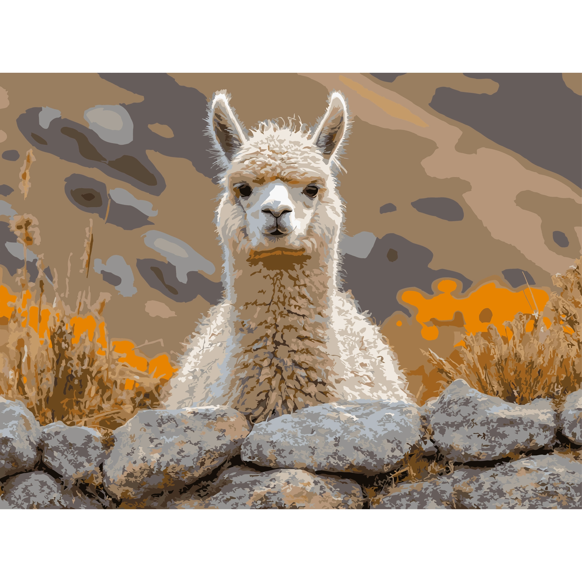 Картина за номерами Альпака на камені (30х40 см), бренду Strateg - KUBIX