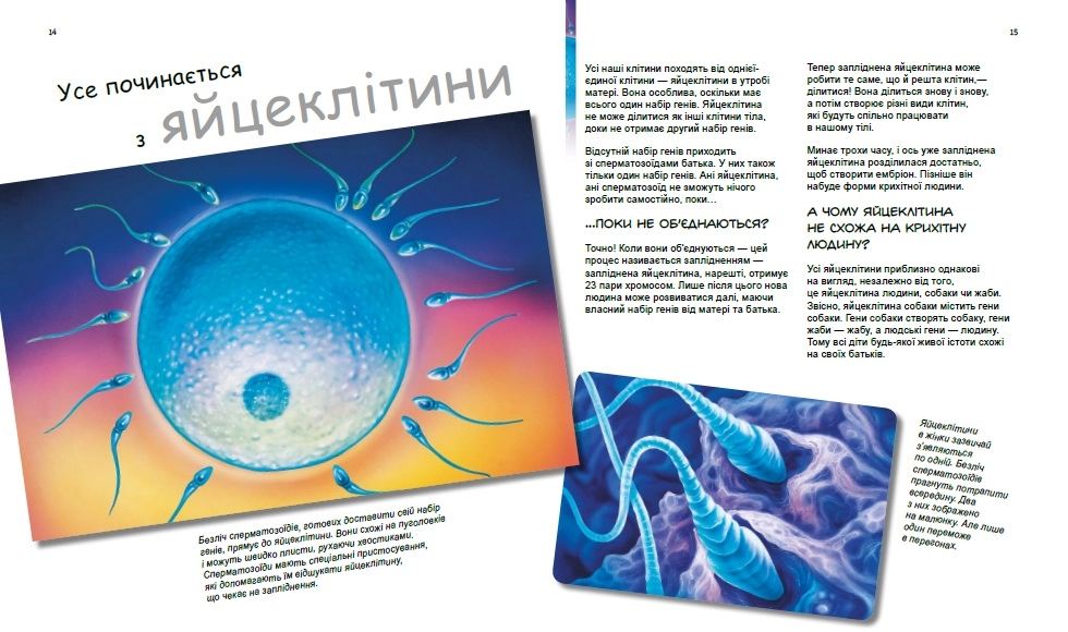X и Y, девочка или мальчик?, бренду Ранок - 5 - KUBIX 