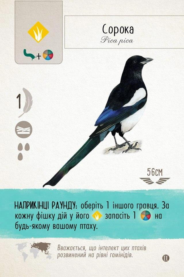 Настольная игра Крылья. Птицы Европы (Wingspan: European Expansion), бренду Игромаг, для 1-5 гравців, час гри < 60мин. - 16 - KUBIX 