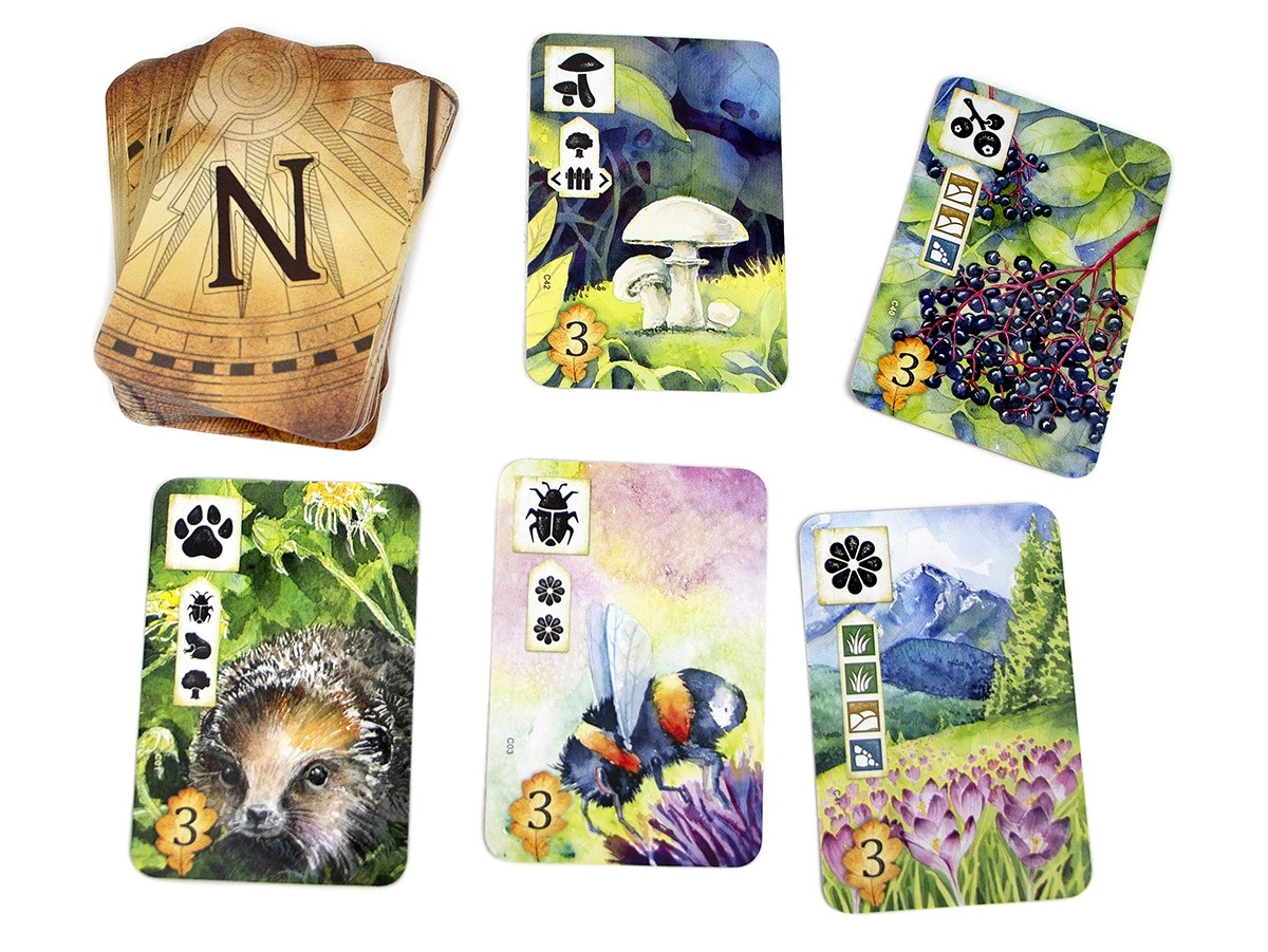 Настольная игра Левада (Meadow), бренду Игромаг, для 1-4 гравців, час гри < 60мин. - 13 - KUBIX 