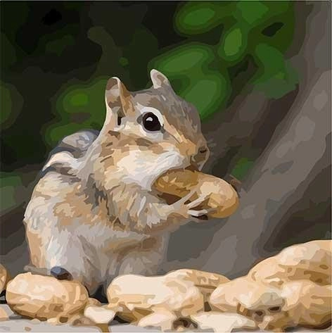 Картина по номерам Крош-бурундук (40х40 см), бренду Art Craft - KUBIX