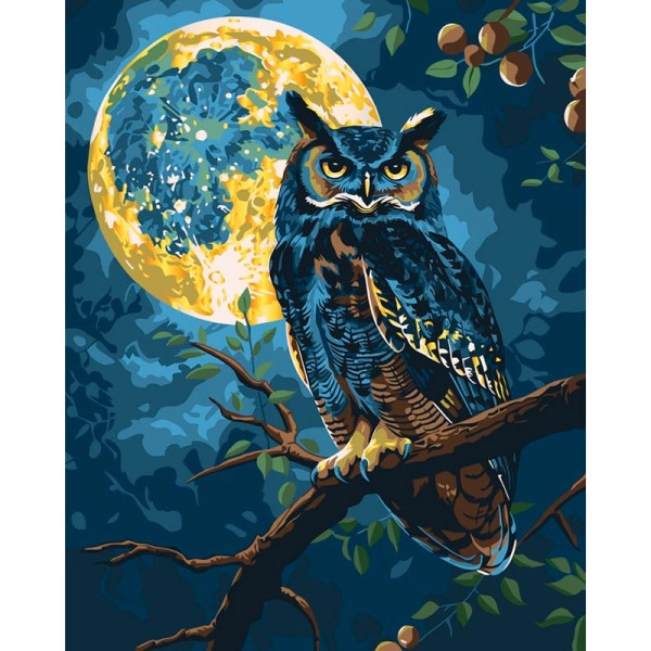 Картина за номерами Хранитель зоряного світла (40x50 см), бренду Art Craft - KUBIX