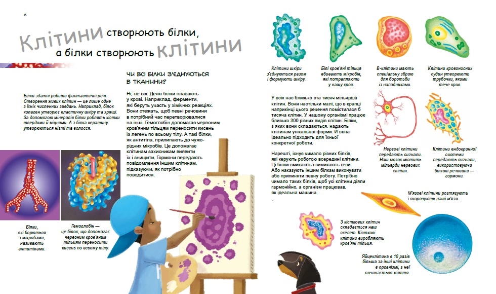 X та Y, дівчинка або хлопчик?, бренду Ранок - 4 - KUBIX 