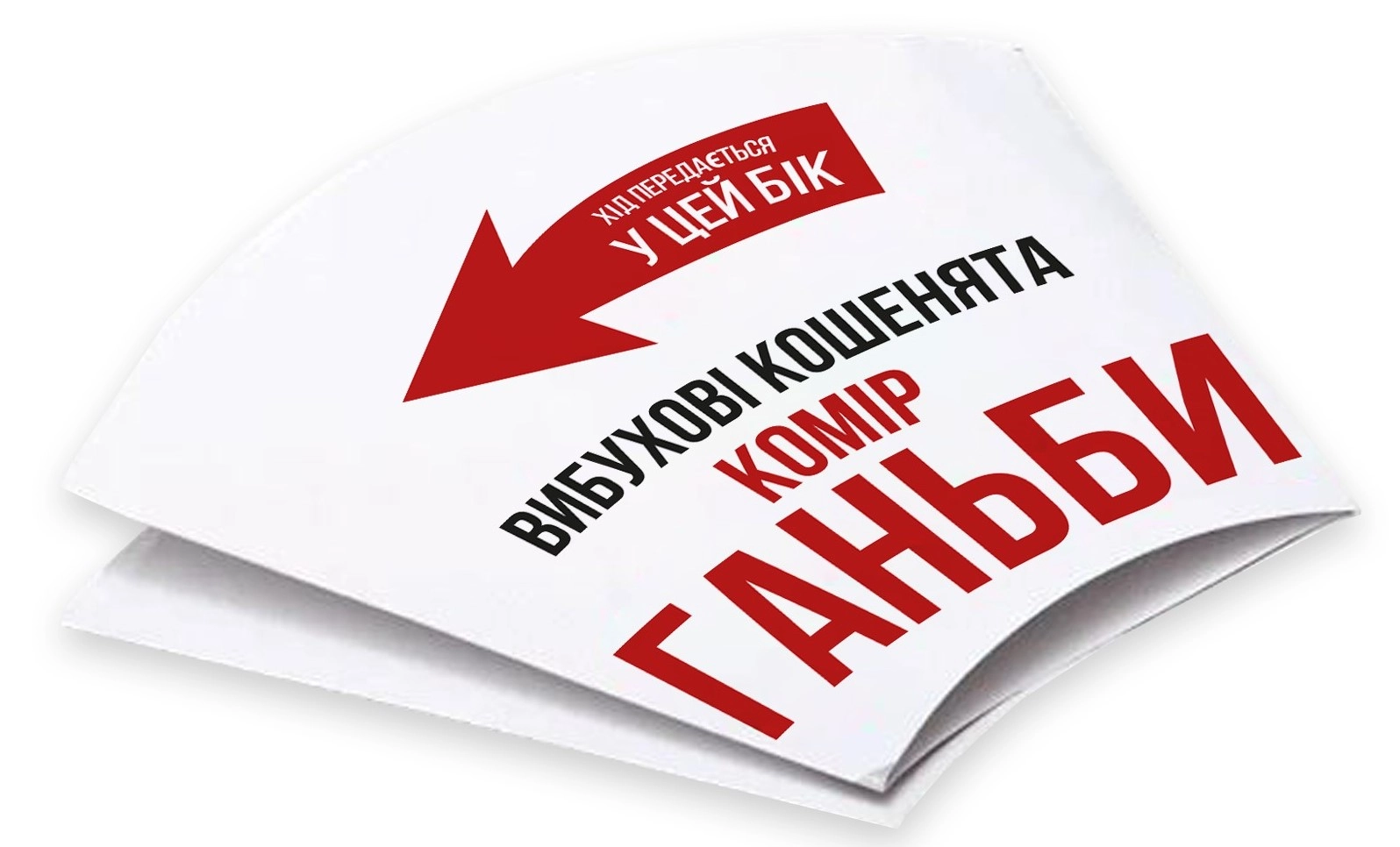 Настільна гра Вибухові кошенята: Сингулярні кошенята (Exploding Kittens: Imploding Kittens), бренду Rozum, для 2-6 гравців, час гри < 30хв. - 3 - KUBIX 