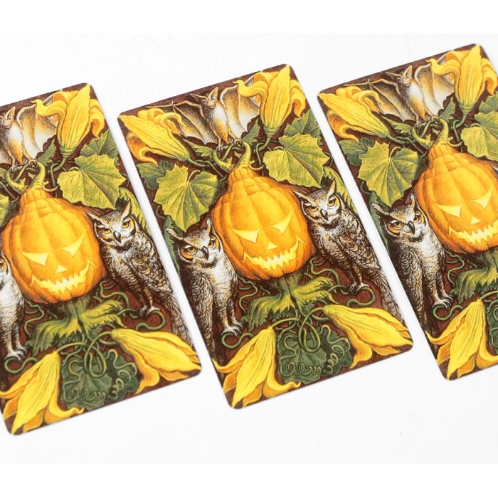 Карти ТАРО Джека-Ліхтаря (Jack-o-Lantern TAROT cards) - 5 - KUBIX 