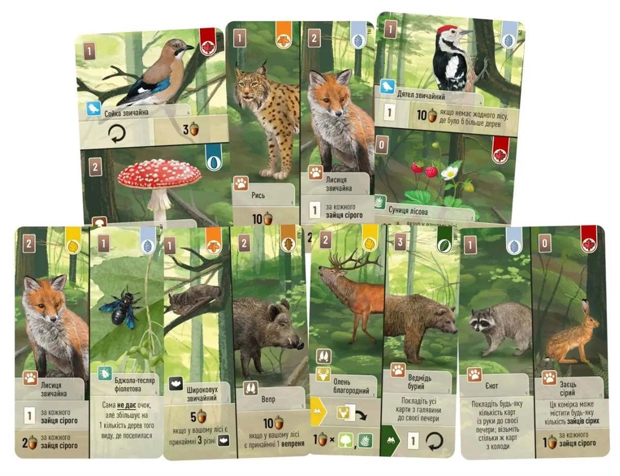 Настільна гра Лісова метушня (Forest Shuffle), бренду Lord of Boards, для 2-5 гравців, час гри < 60хв. - 4 - KUBIX 