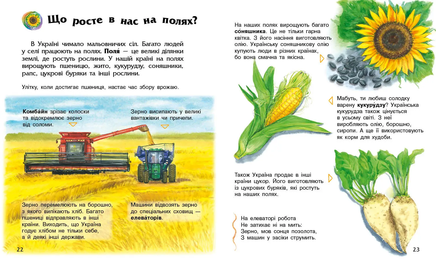Енциклопедія дошкільника Україна, бренду Ранок - 2 - KUBIX 