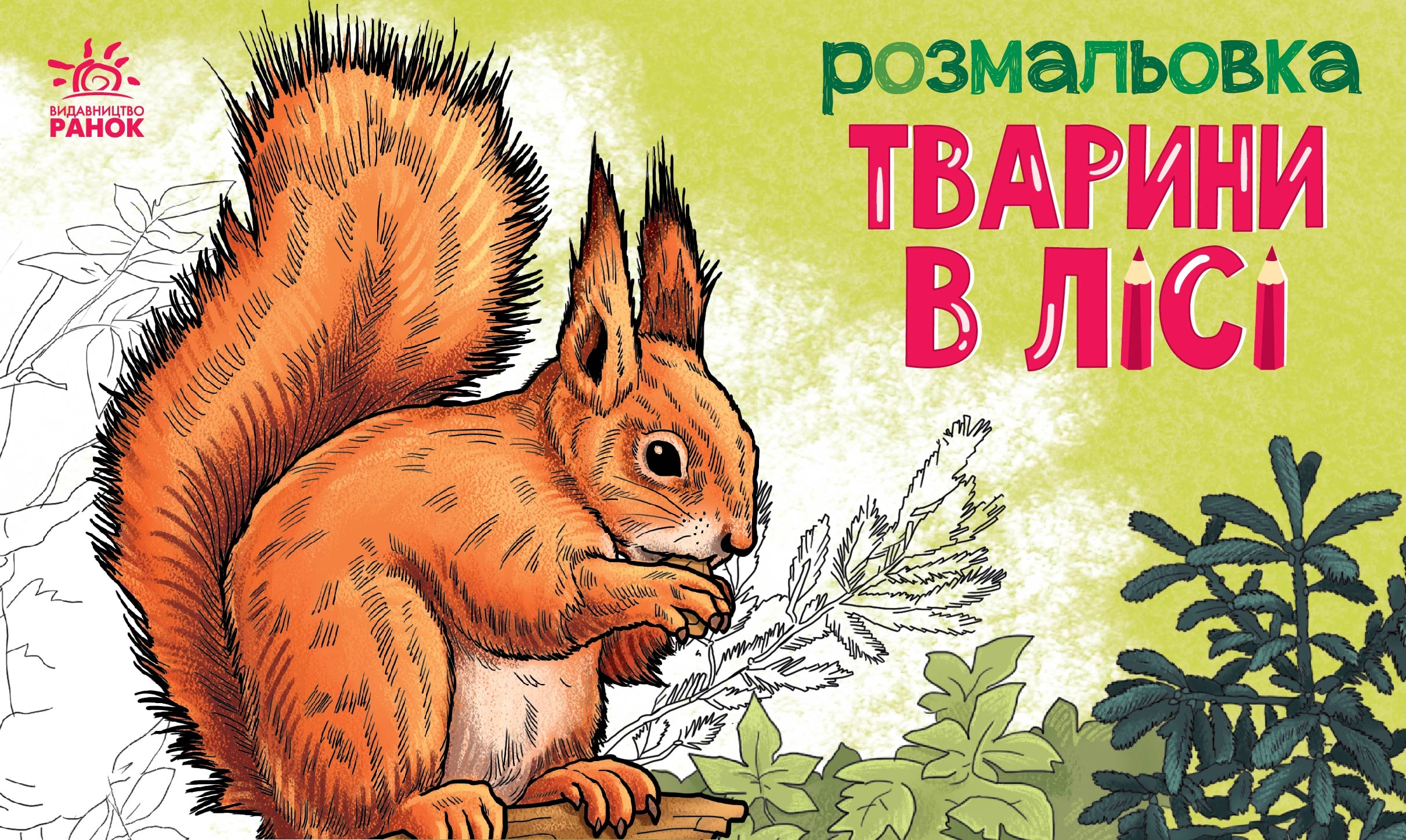 Розмальовка Тварини в лісі, бренду Ранок - KUBIX