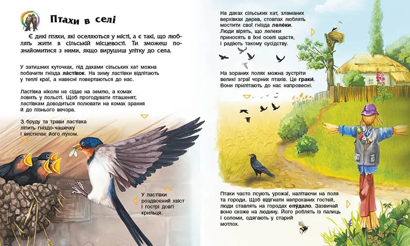 Енциклопедія дошкільника. Птахи, бренду Ранок - 5 - KUBIX 