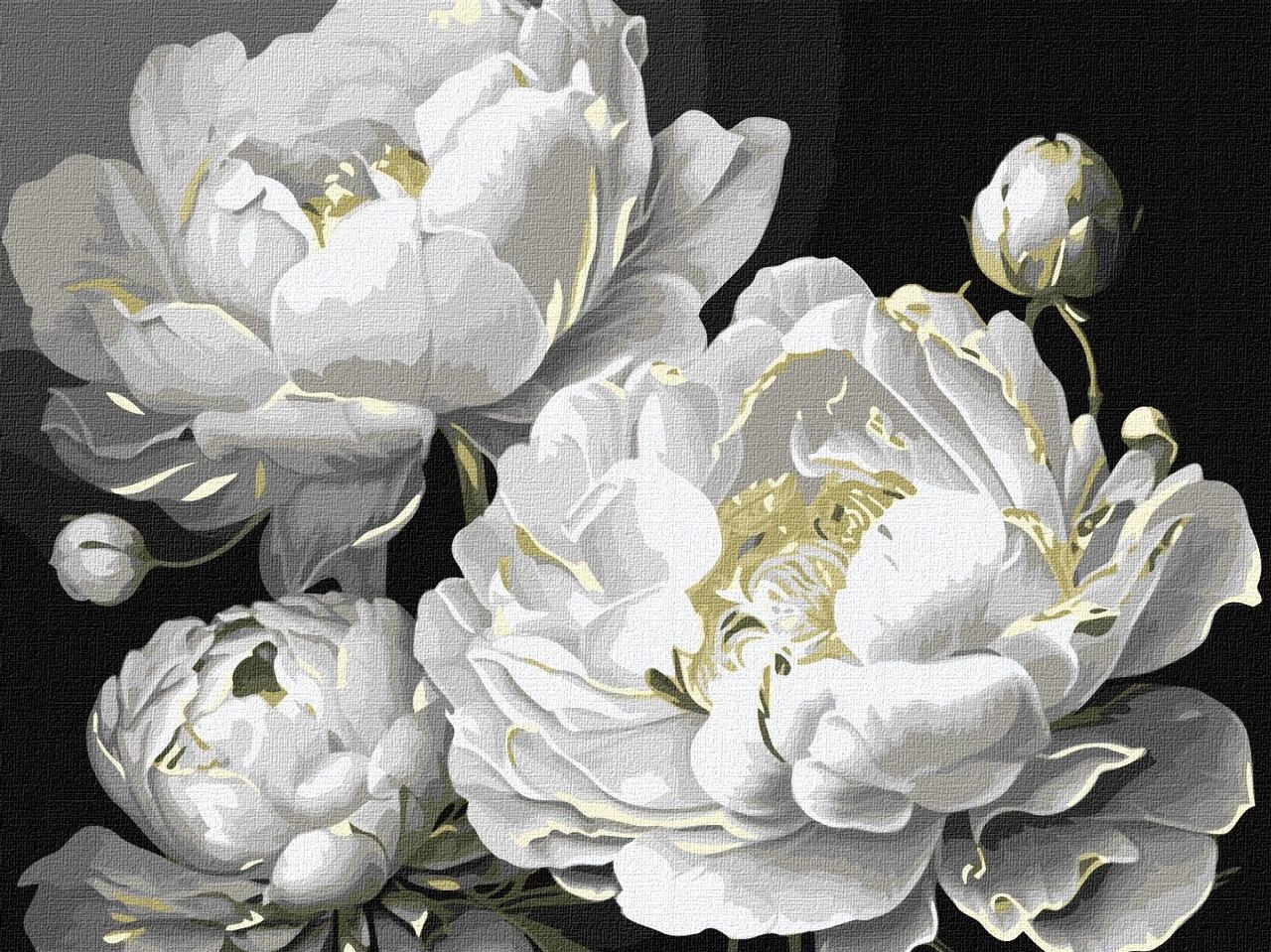 Картина по номерам Безупречная красота (30х40 см), бренду Идейка - KUBIX