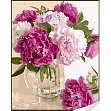 Миниатюра товара Алмазная мозаика Нежные пионы (30х40 см) - 1