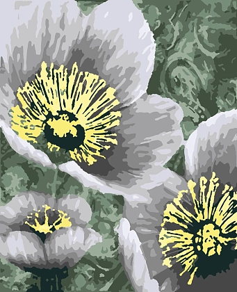 Картина по номерам Квіти (40х50 см), бренду Artissimo - KUBIX