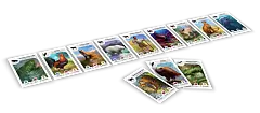 Мініатюра товару Настільна гра Картолінія: Тварини (Cardline: Animals) - 5