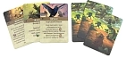 Миниатюра товара Настольная игра Эвердел. Звонограй (Everdell: Bellfaire) - 8