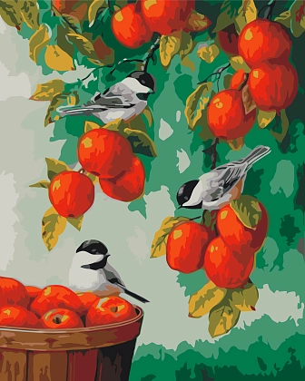 Картина по номерам Синички в саду (40х50 см), бренду Origami - KUBIX