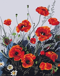 Картина по номерам Барвисті маки (40х50 см)