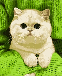 Картина по номерам Киця (50х60 см)