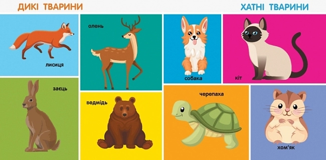 Смарт-книга 100 перших слів, бренду Ранок - 5 - KUBIX
