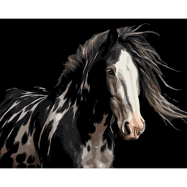 Картина за номерами Розкішний кінь (40х50 см)